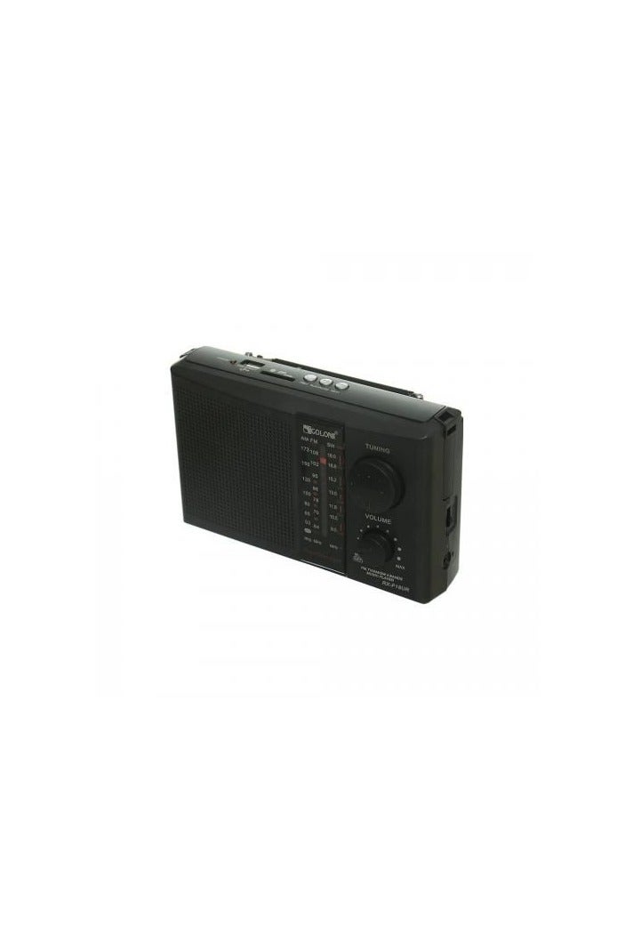 Golon RX-F18UR Golon Chinese Radio - Image 1