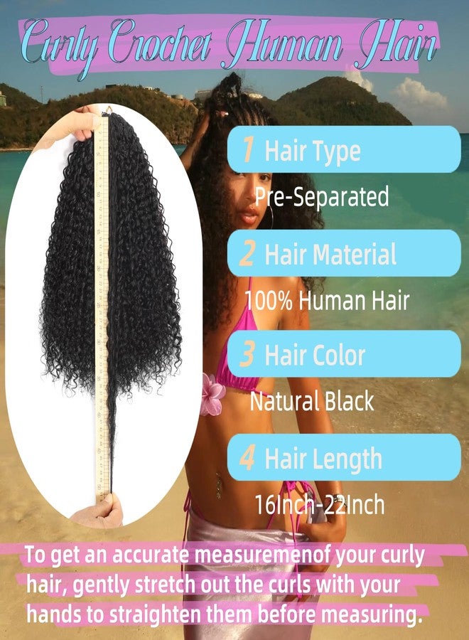 HLSK Curly Knotless Pre-Separated Crochet Hair Extensions 140G Micro Pre Looped Crochet Human Hair Extensions Curly 100% Human Hair Extensions Natural Color (Natural Black(140g), 16 Inch) - Image 2