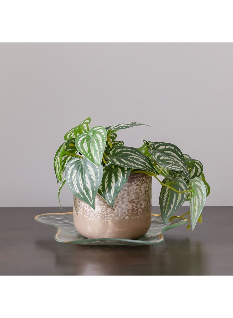 DANUBE HOME Treo Large Star-Shaped Trinket Tray – Decorative Jewelry & Accessory Holder with Stylish Design, Perfect for Organizing Small Items on Vanity, Desk & Nightstand L24 x W24 X H 1.6 Cm Large - Image 4