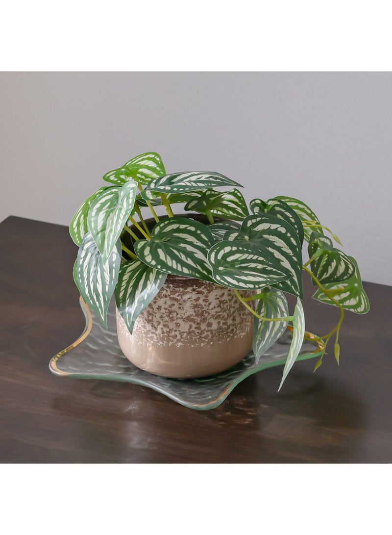 DANUBE HOME Treo Large Star-Shaped Trinket Tray – Decorative Jewelry & Accessory Holder with Stylish Design, Perfect for Organizing Small Items on Vanity, Desk & Nightstand L24 x W24 X H 1.6 Cm Large - Image 3