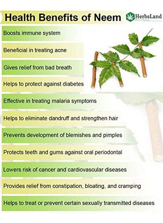 HerbsLand ® 100% Natural & Bio Organic Neem Leaf/Leaves Powder (Azadirachta Indica) ; Goodness Of Neem ; Antidandruff ; Pimplefree Skin Silky Hair ; Face Mask ; Skin Care ; Hair Pack (200 Gm) - Image 4