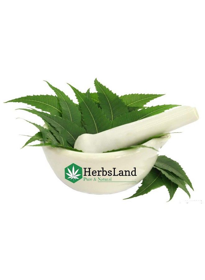 HerbsLand ® 100% Natural & Bio Organic Neem Leaf/Leaves Powder (Azadirachta Indica) ; Goodness Of Neem ; Antidandruff ; Pimplefree Skin Silky Hair ; Face Mask ; Skin Care ; Hair Pack (200 Gm) - Image 3