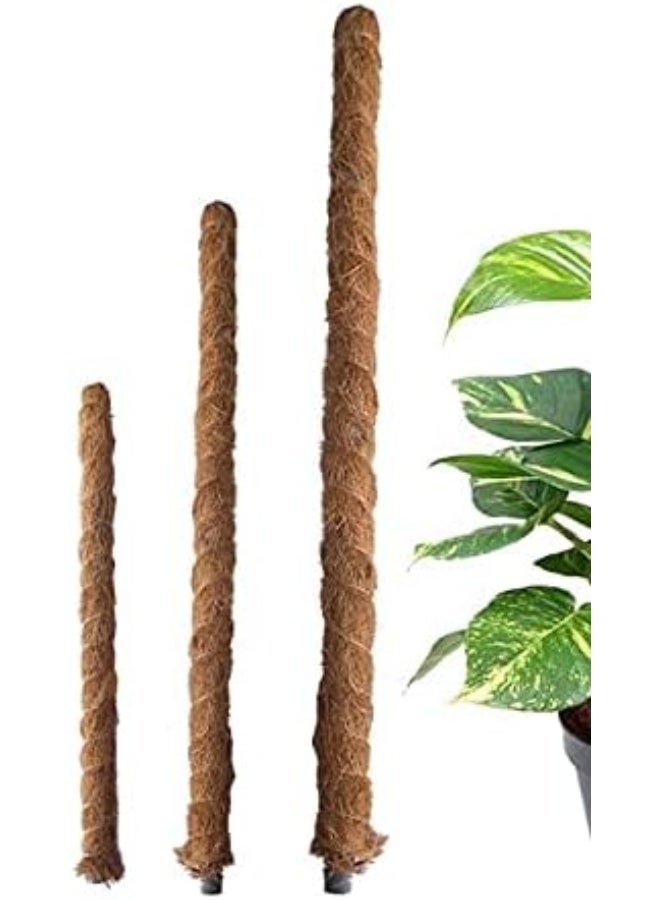 United Arab Emirates 1 piece of Moss Stick For Plant Support Extensions - Image 4