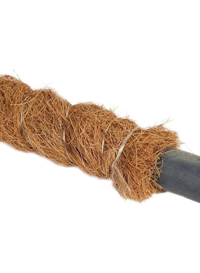 United Arab Emirates 1 piece of Moss Stick For Plant Support Extensions - Image 3