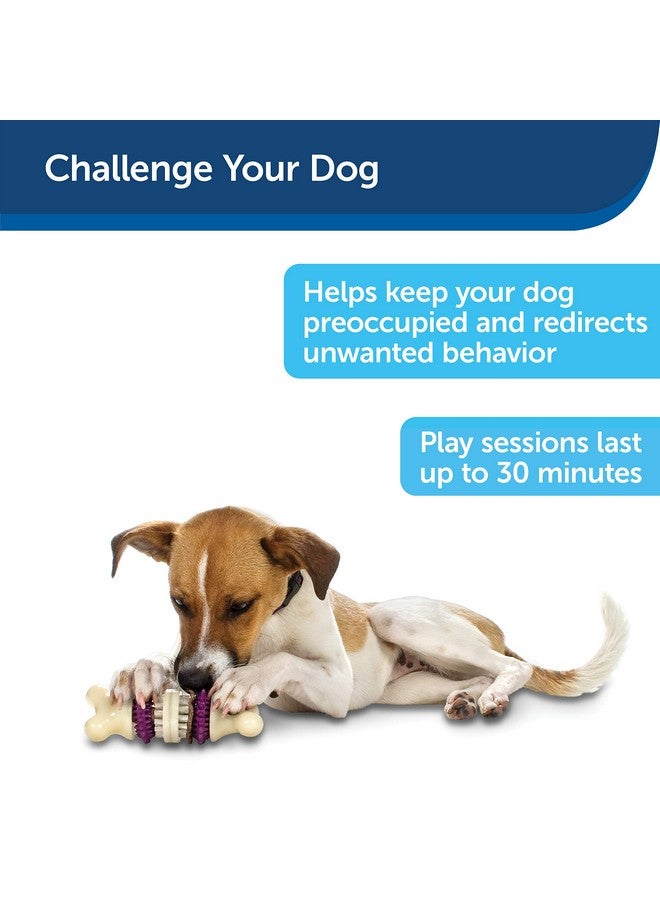 بيت سيف عظمة شعيرات Busy Buddy، كبيرة الحجم، تساعد في الحفاظ على أسنان كلبك نظيفة، ووقت لعب طويل الأمد - Image 4