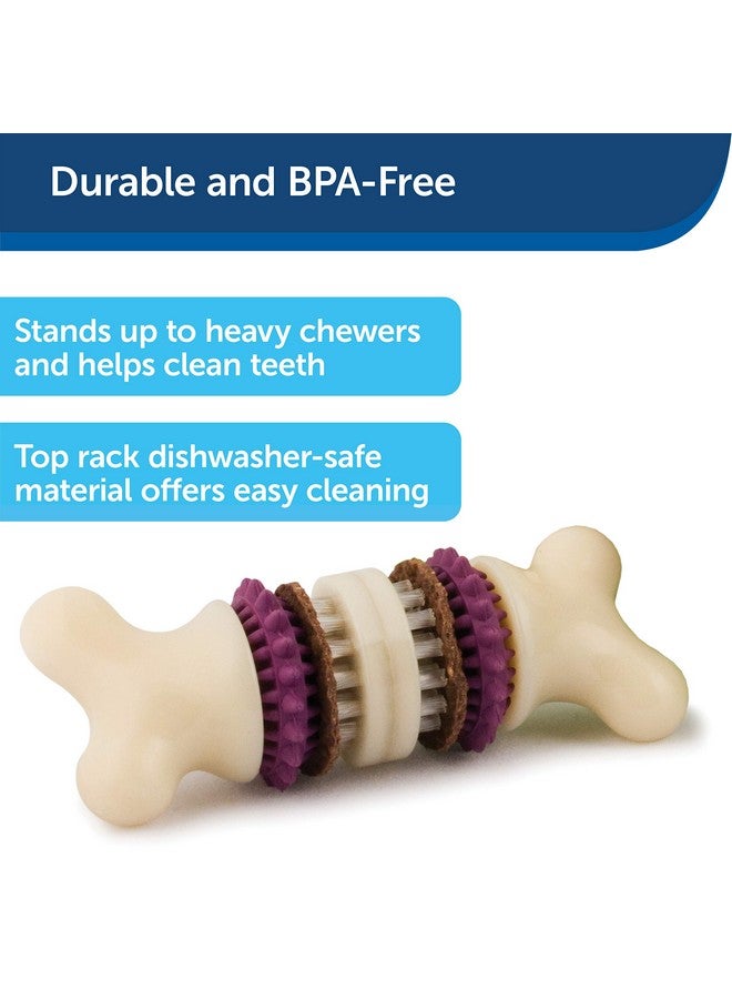 بيت سيف عظمة شعيرات Busy Buddy، كبيرة الحجم، تساعد في الحفاظ على أسنان كلبك نظيفة، ووقت لعب طويل الأمد - Image 3