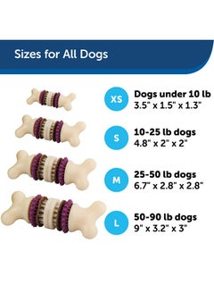 PetSafe Busy Buddy Bristle Bone, Large, Helps Keep Your Dog'S Teeth Clean, LongLasting Playtime  - Image 5