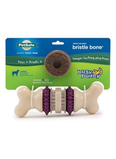 PetSafe Busy Buddy Bristle Bone, Large, Helps Keep Your Dog'S Teeth Clean, LongLasting Playtime  - Image 1