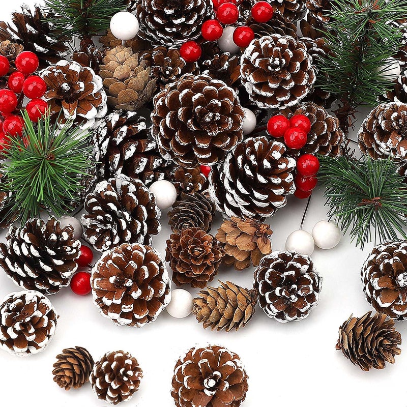 hatisan 115Pcs Christmas Pine Cones Berry Pine Branch Set White Christmas Decorations for DIY Crafts Home Xmas Tree Gift Party Supplies  Assorted Sizes - Image 1