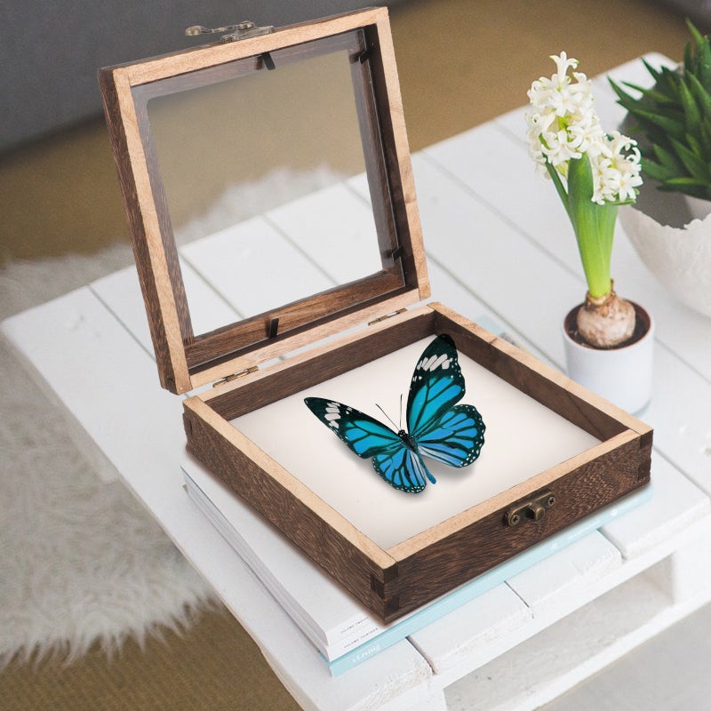 1 Set of Display Case Specimen Box Wood Showcase for Home - Image 4