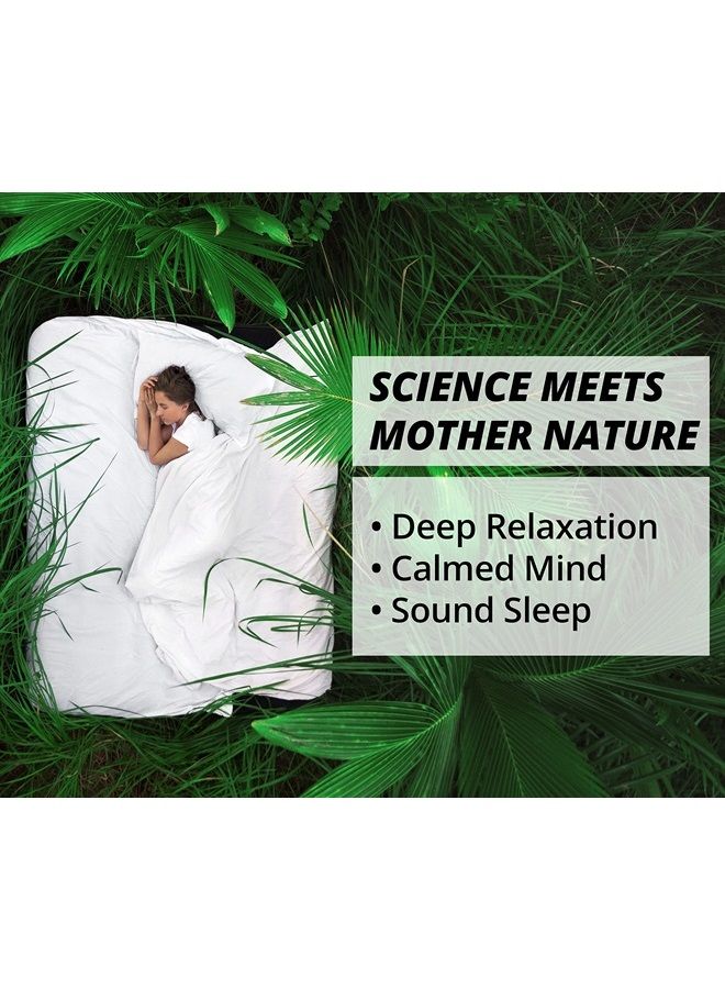 HAPPY HEALTHY HIPPIE Namastay in Bed Natural Sleep Supplement – Valerian Root Sleep Aid | Non-Groggy, Plant-Based | Chamomile, Melatonin, L-Theanine, 60 Capsules - Image 3