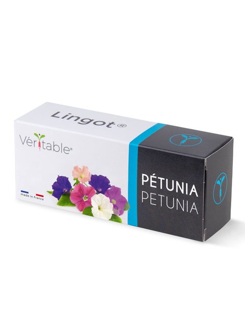 Veritable® Lingots® Collection Petunia - Edible flowers - Organic - Essential aromatic herbs   Organic Seeds - 100%  biodegradable, pesticide and GMO free. Made in France