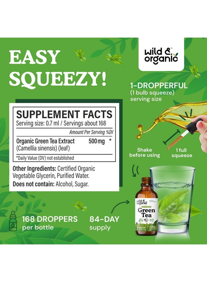 Wild & Organic Wild & Organic Green Tea Extract Liquid Drops - Antioxidant-Rich Green Tea Supplement - 2-Month Supply - Vegan, Sugar & Alcohol-Free Camellia Sinensis Tincture - 4 fl oz  - Image 3