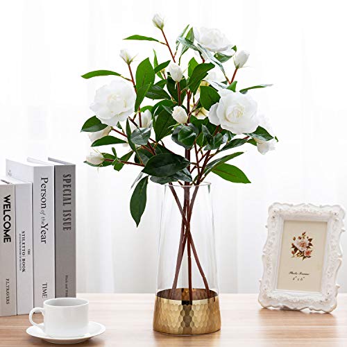 MyGift Glass and Gold Bottom Flower Vases, 10 inch Clear Glass Vases for Table Centerpieces Home Decor - Image 3