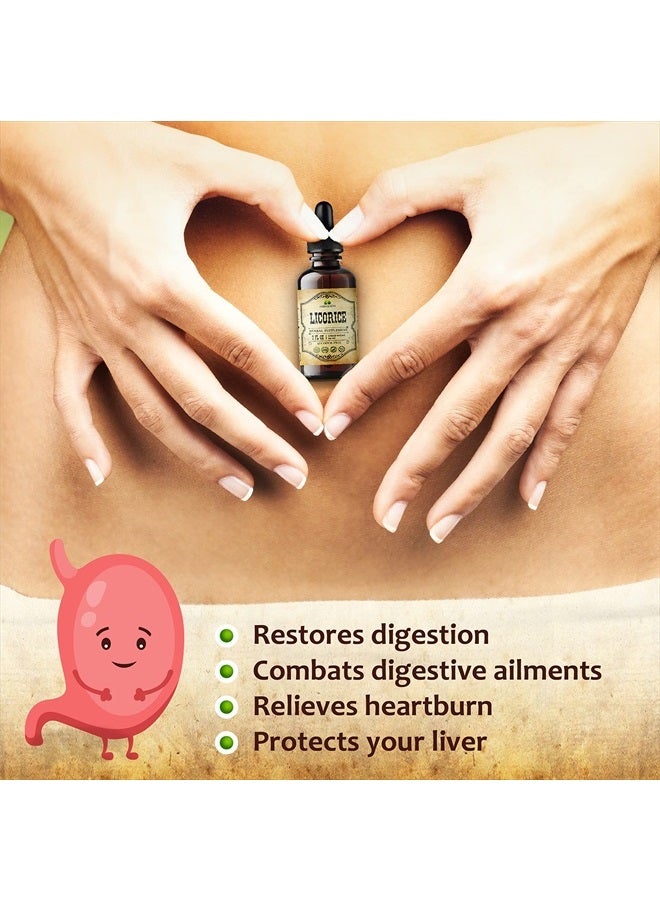 HERBALICIOUS Licorice Root Extract - Glycyrrhiza Glabra - Organic Herbal Supplement for Digestion Restore Respiratory Health Fatigue & Immunity Support Vegan Gluten Free Liquid Tincture (2Fl Oz)  - Image 3