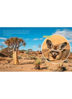 The Equator: Band 06/Orange  - Image 1