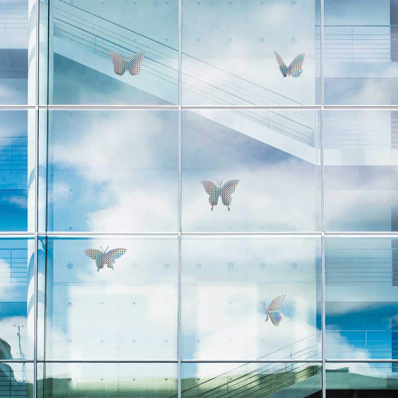 EACILLES 30 Pieces Anti Collision Window Stickers for Birds  Glass Window Decals Clings for Bird Strikes  Stop Birds from Hitting Windows  Butterfly-Style - Image 5