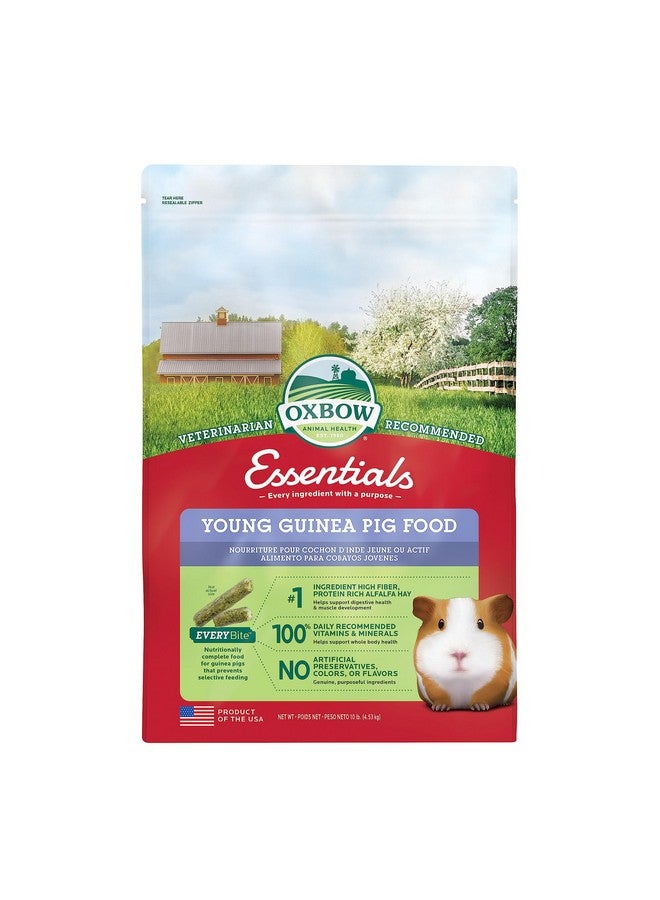 أوكسبو طعام خنازير غينيا من أوكسبو إسينشالز، صغير، مصنوع من تبن البرسيم لخنازير غينيا، حبيبات طعام الحيوانات الأليفة مع فيتامين سي، منتجات للحيوانات الأليفة الصغيرة، صنع في الولايات المتحدة الأمريكية، غني بالألياف، كيس 10 أرطال - Image 1