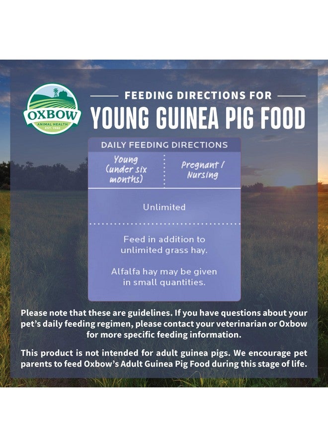 أوكسبو طعام خنازير غينيا من أوكسبو إسينشالز، صغير، مصنوع من تبن البرسيم لخنازير غينيا، حبيبات طعام الحيوانات الأليفة مع فيتامين سي، منتجات للحيوانات الأليفة الصغيرة، صنع في الولايات المتحدة الأمريكية، غني بالألياف، كيس 10 أرطال - Image 3