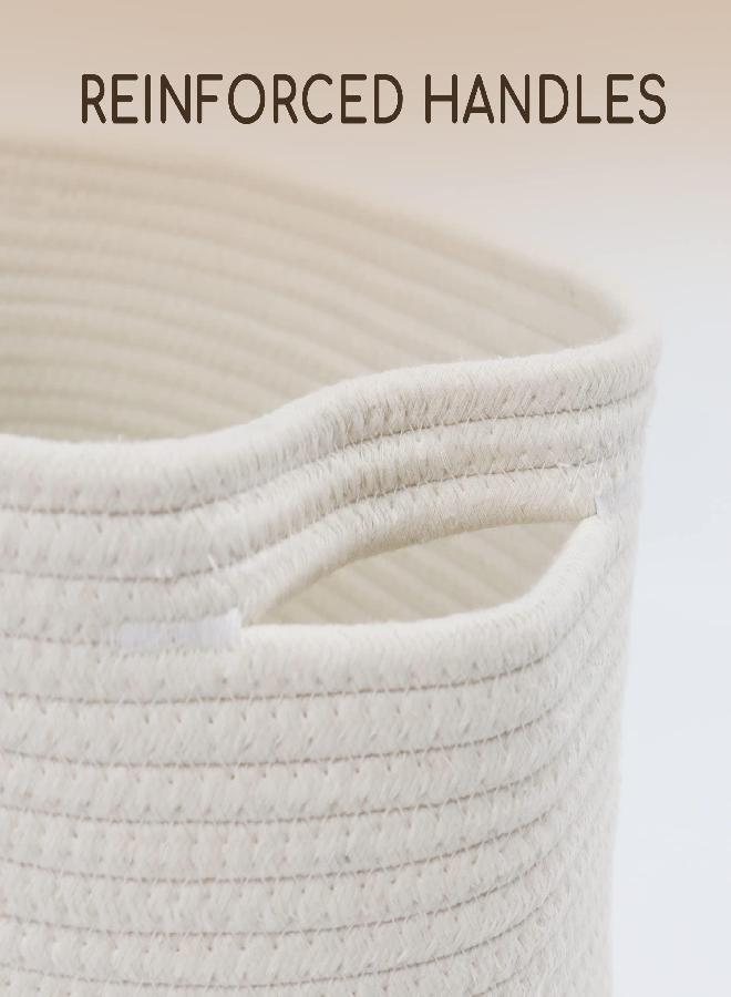 Whitmor 4 Section Tray - Image 2