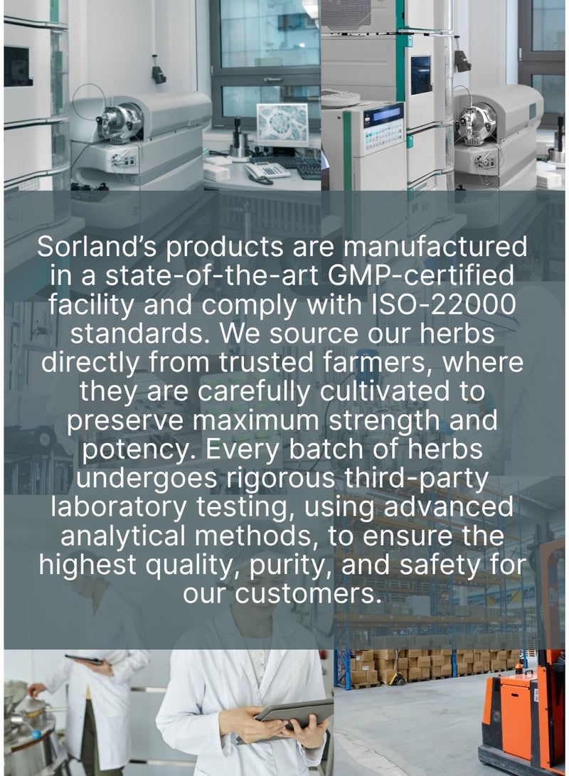 Sorland's Akpi Seeds (Ricinodendron heudelotii) – 100g | Exotic West African Spice for Cooking & Culinary Use - Image 3