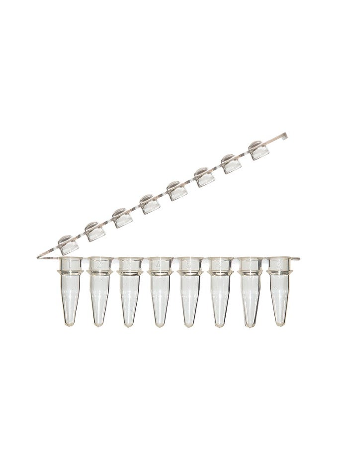 Cellpro ProCycle™ 0.2mL 8-strip PCR tubes w/ separate flat strip caps 125x8, 1000/PK  - Image 1
