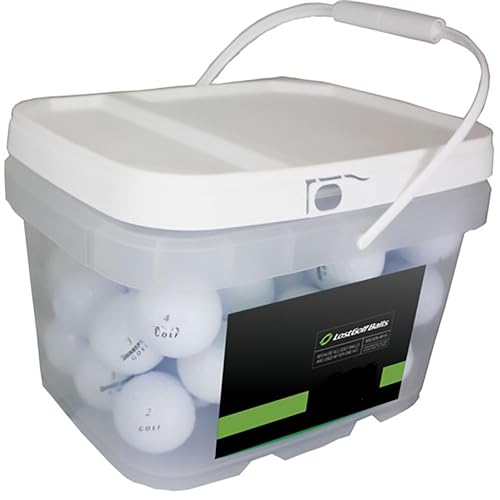 LostGolfBalls - 12 e6 Golf Balls in Mint Condition, Recycled Used Golf Balls, AAAAA Quality, White - Image 1
