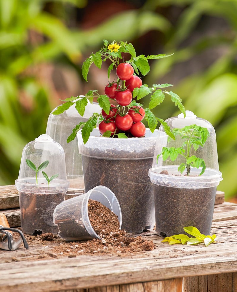 homenote Clear Nursery Pots for Plants,3/4/5 Inch Plant Pot for Planting with Humidity Domes Plastic Seedling with Drainage Holes Seed Starter Flower High Transparency (15 Pack) - Image 2