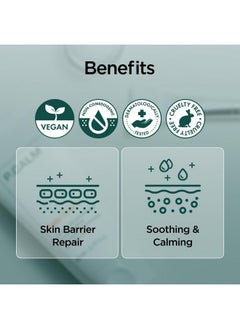 P.CALM P.CALM Cato Facial Cream 80ml | Vegan Korean Facial Moisturizer for Sensitive Skin | Lightweight Non-Greasy Non-Sticky Barrier-Strengthening  - Image 4