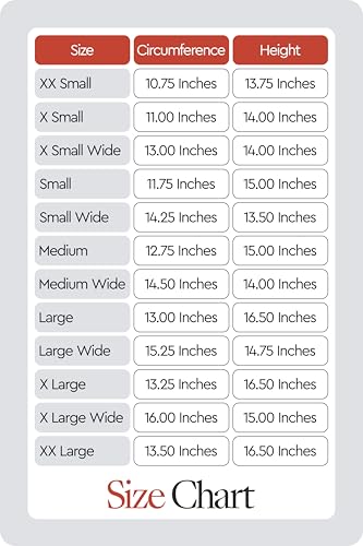 HORZE Amara Adult Equestrian Half Chaps | Synthetic Leather Zip-Up Pair | Accurate Size Chart in Images - Black - XXL - Image 3