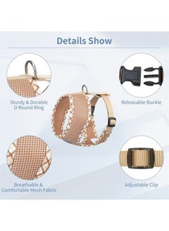 BINGPET Soft Mesh Breathable Pet Vest Harnesses, No Pull & No Choke Dog Harness, Lightweight Adjustable Vest Harness for Small and Medium Dogs 