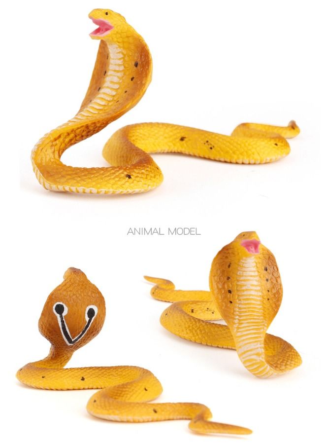 Set of 2 Realistic Fake Snakes Toy, Fake Snake Prank Rubber Snake Props Scary Snake Toy, Fake Cobra Snake Tricky Toy  - Image 5