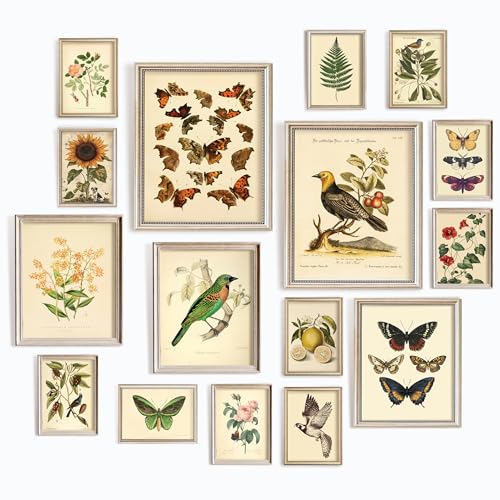 97 Decor LARGE 11x14 Vintage Botanical Wall Art Decor Plant Posters For Room Aesthetic Vintage Botanical Prints Nature Floral Pictures Butterfly Bird Art For Home Bedroom Unframed - Image 1