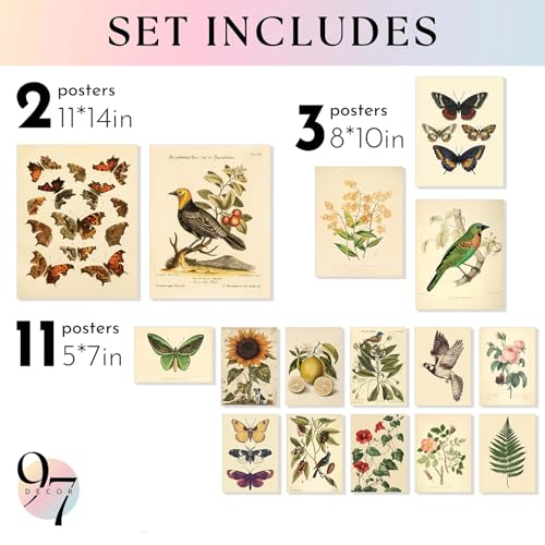 97 Decor LARGE 11x14 Vintage Botanical Wall Art Decor Plant Posters For Room Aesthetic Vintage Botanical Prints Nature Floral Pictures Butterfly Bird Art For Home Bedroom Unframed - Image 3
