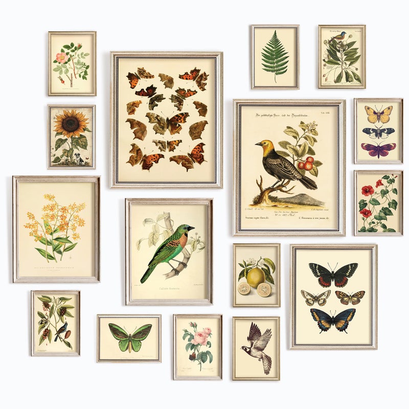 97 Decor LARGE 11x14 Vintage Botanical Wall Art Decor Plant Posters For Room Aesthetic Vintage Botanical Prints Nature Floral Pictures Butterfly Bird Art For Home Bedroom Unframed - Image 2