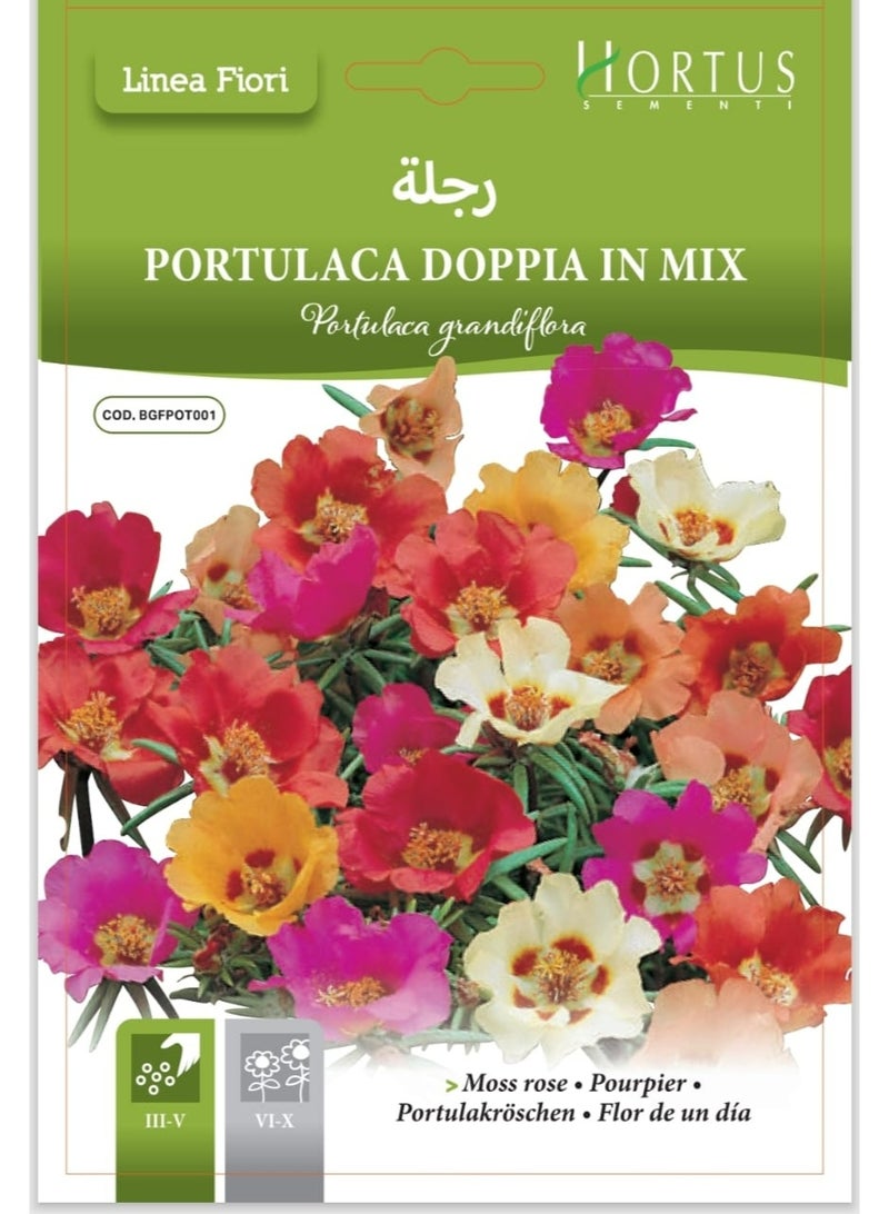 Purslane Seeds
