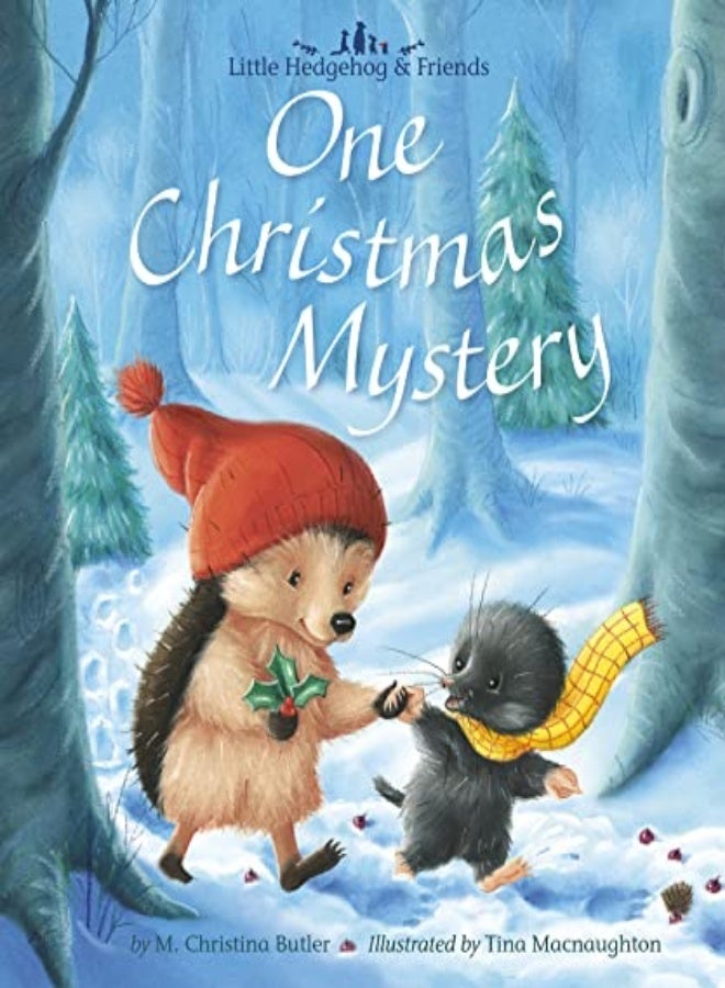 One Christmas Mystery