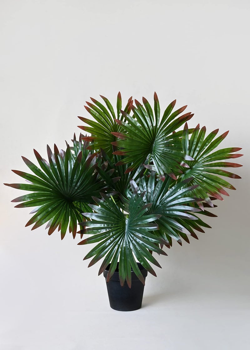 Blooming Floret Polyester Artificial Fan Palm|With Basic Black Pot|12 Leaves|Ornamental Plant For Interior Decor/Home Decor/Office Decor|65 Cm Short Indoor Green Plant|Durable - Image 1