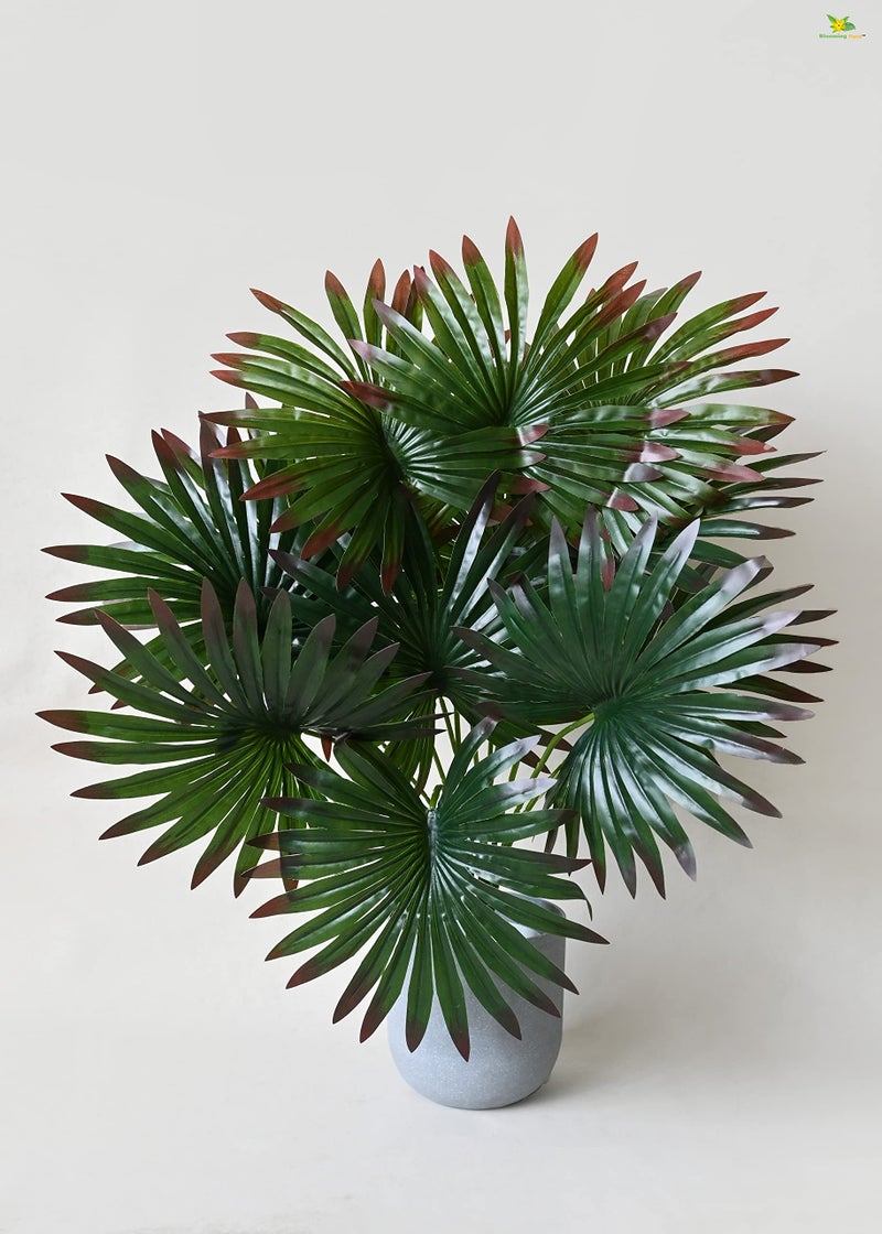 Blooming Floret Polyester Artificial Fan Palm|With Basic Black Pot|12 Leaves|Ornamental Plant For Interior Decor/Home Decor/Office Decor|65 Cm Short Indoor Green Plant|Durable - Image 2