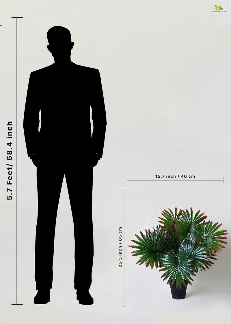 Blooming Floret Polyester Artificial Fan Palm|With Basic Black Pot|12 Leaves|Ornamental Plant For Interior Decor/Home Decor/Office Decor|65 Cm Short Indoor Green Plant|Durable - Image 4