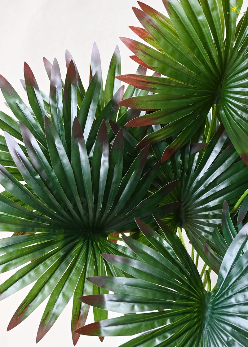 Blooming Floret Polyester Artificial Fan Palm|With Basic Black Pot|12 Leaves|Ornamental Plant For Interior Decor/Home Decor/Office Decor|65 Cm Short Indoor Green Plant|Durable - Image 5