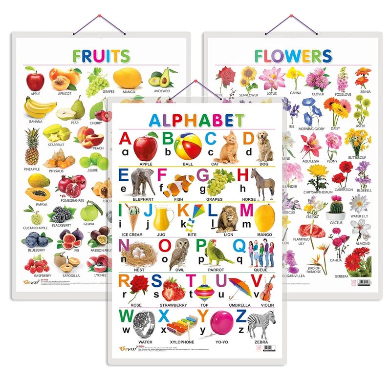 GoWoo Set of 3 Alphabet, Fruits and Flowers Early Learning Educational Charts for Kids | 20"X30" inch |Non-Tearable and Waterproof | Double Sided Laminated | Perfect for Homeschooling, Kindergarten and Nursery Students - Image 1