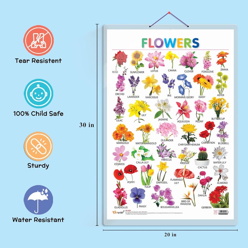 GoWoo Set of 3 Alphabet, Fruits and Flowers Early Learning Educational Charts for Kids | 20"X30" inch |Non-Tearable and Waterproof | Double Sided Laminated | Perfect for Homeschooling, Kindergarten and Nursery Students - Image 3