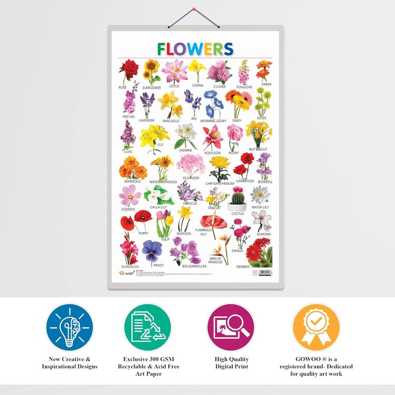 GoWoo Set of 3 Alphabet, Fruits and Flowers Early Learning Educational Charts for Kids | 20"X30" inch |Non-Tearable and Waterproof | Double Sided Laminated | Perfect for Homeschooling, Kindergarten and Nursery Students - Image 4