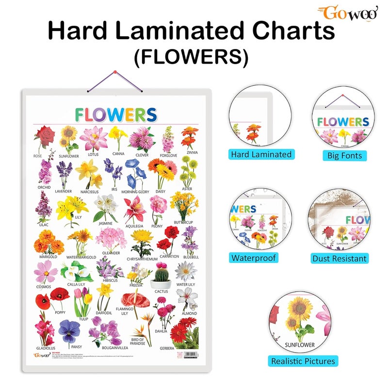 GoWoo Set of 3 Alphabet, Fruits and Flowers Early Learning Educational Charts for Kids | 20"X30" inch |Non-Tearable and Waterproof | Double Sided Laminated | Perfect for Homeschooling, Kindergarten and Nursery Students - Image 2