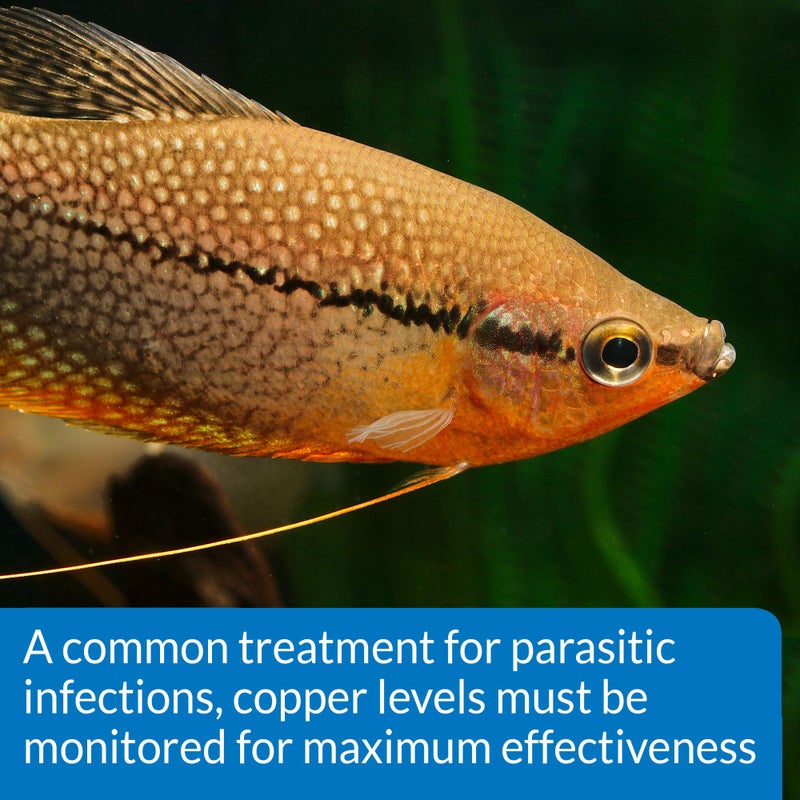 API COPPER TEST KIT 90-Test Aquarium Water Test Kit - Image 3