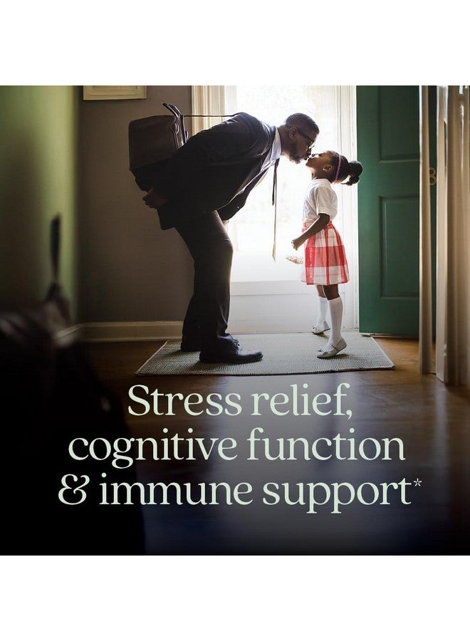 New Chapter Stress Relief Supplement - Holy Basil Force with Supercritical Holy Basil for Stress Support + Immune Support + Non-GMO Ingredients - Vegetarian Capsules, 120 Count - Image 1