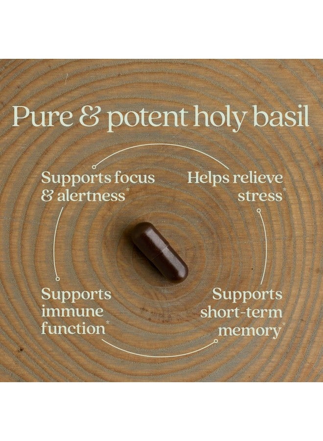 New Chapter Stress Relief Supplement - Holy Basil Force with Supercritical Holy Basil for Stress Support + Immune Support + Non-GMO Ingredients - Vegetarian Capsules, 120 Count - Image 2