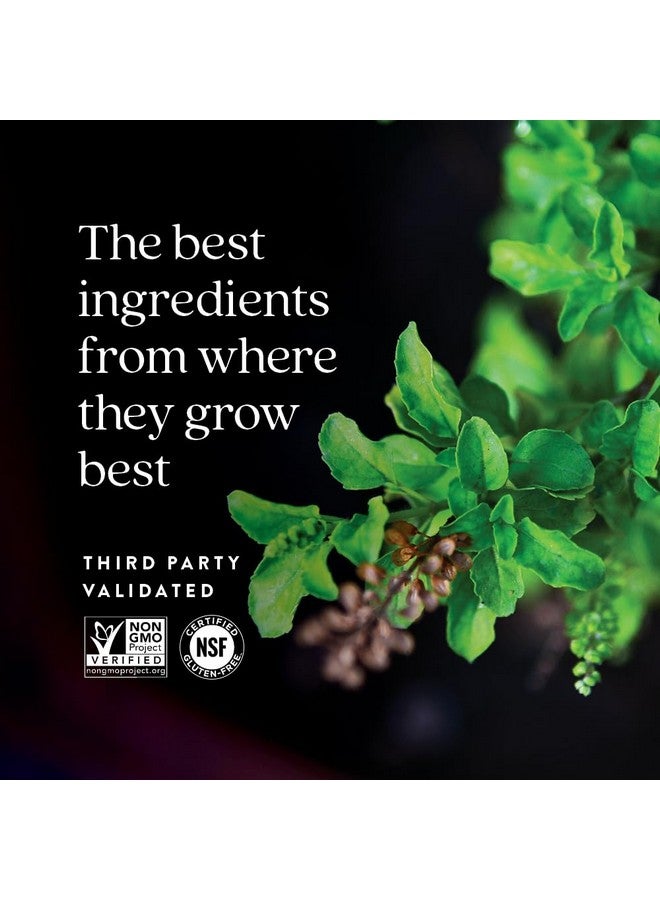 New Chapter Stress Relief Supplement - Holy Basil Force with Supercritical Holy Basil for Stress Support + Immune Support + Non-GMO Ingredients - Vegetarian Capsules, 120 Count - Image 4