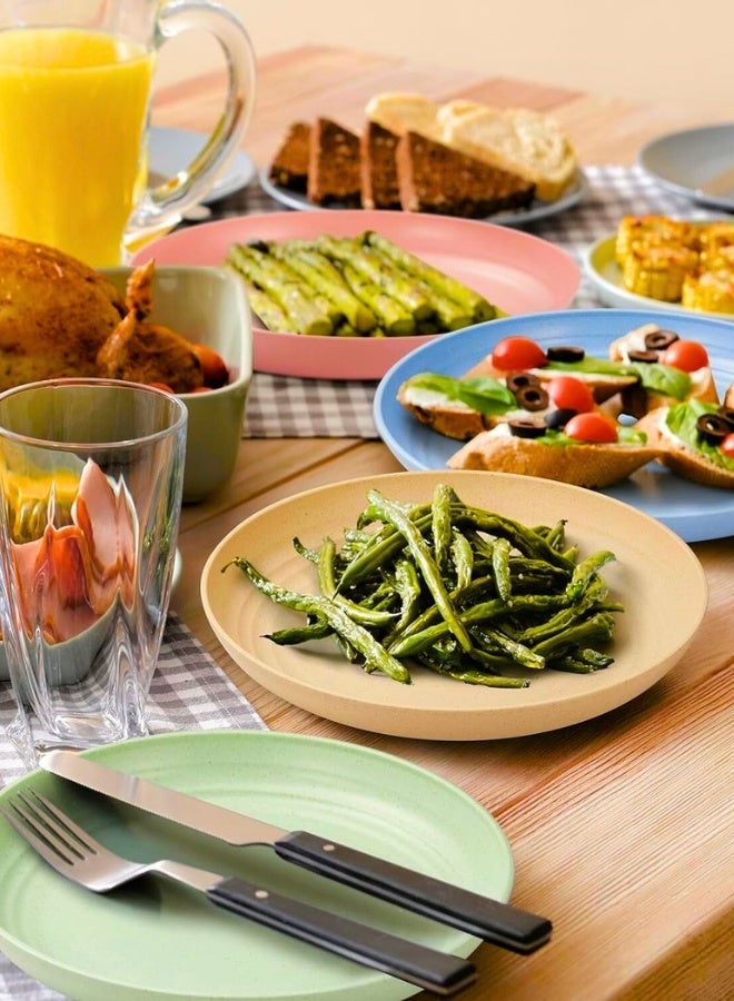 تشيس اب مجموعة أطباق عشاء غير قابلة للكسر من 4 قطع، أطباق من قش القمح قابلة لإعادة الاستخدام، مقاس 9 بوصات، أطباق عشاء خفيفة الوزن غير قابلة للكسر، آمنة للاستخدام في غسالة الأطباق والميكروويف - Image 2